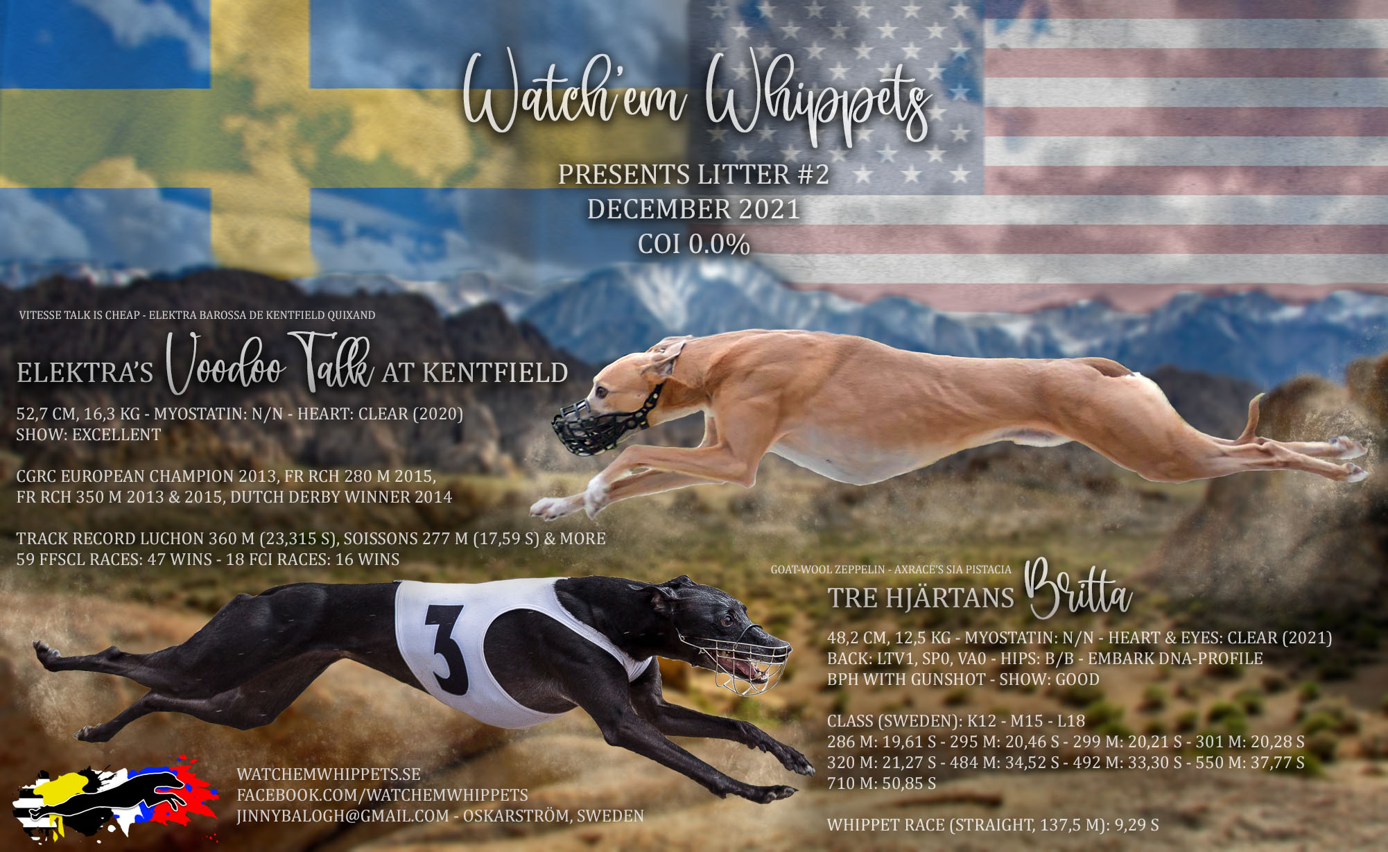 Milo x Babsan, litter ad