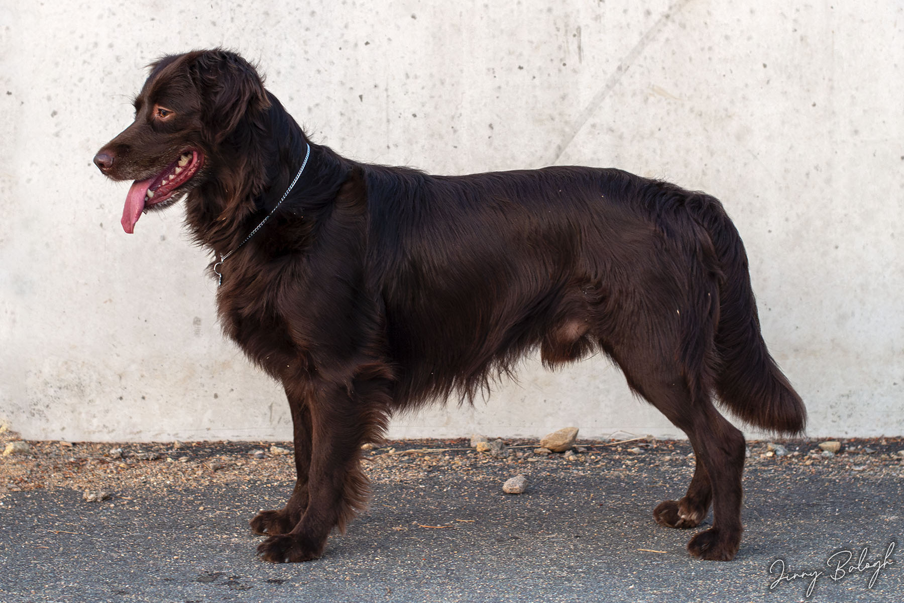 Tobias, 5 years
