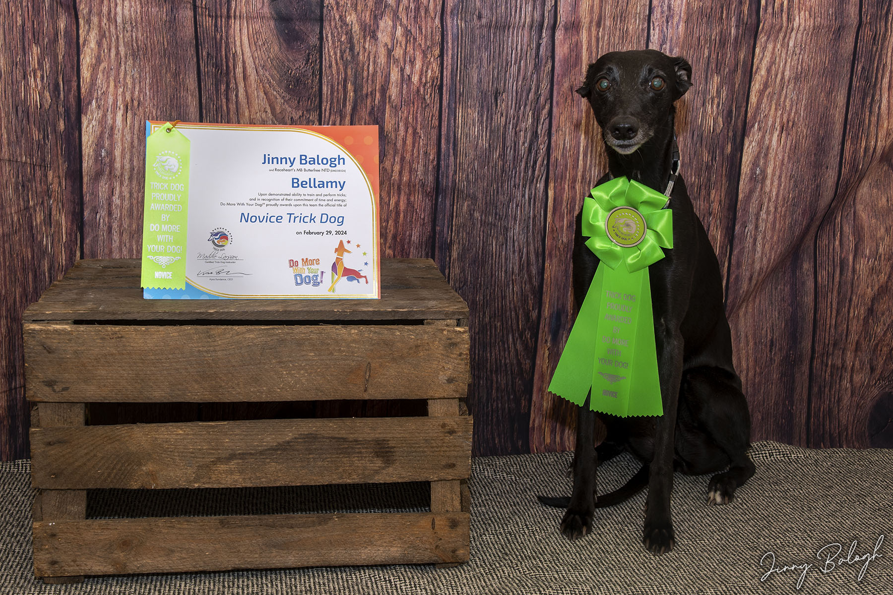 Bellamy, NTD (February 2024)