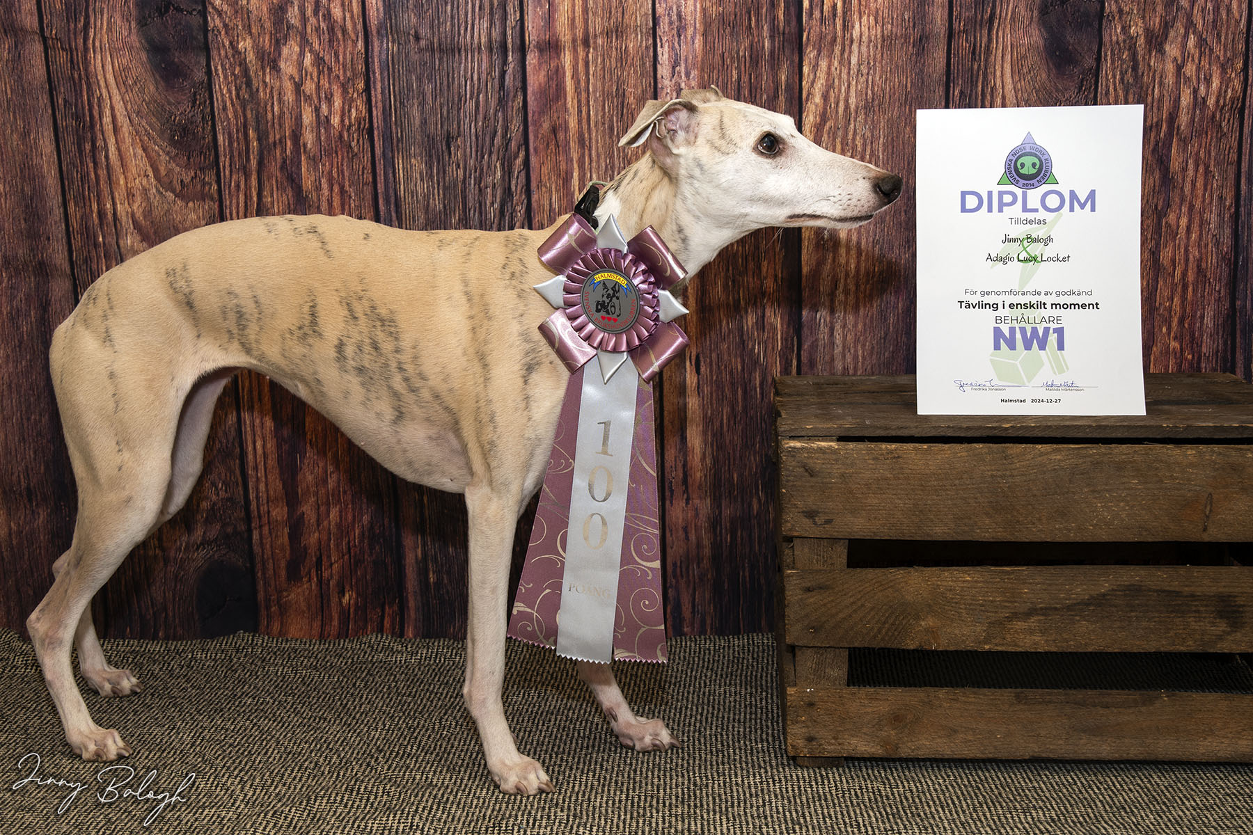 Lucy getting a diploma in NW1 (container)
