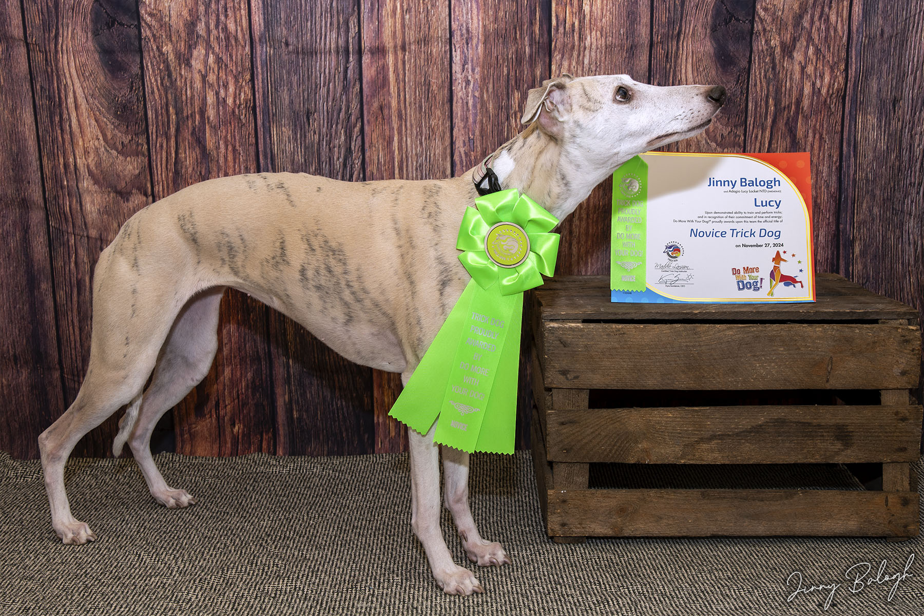 Lucy, NTD (November 2024)