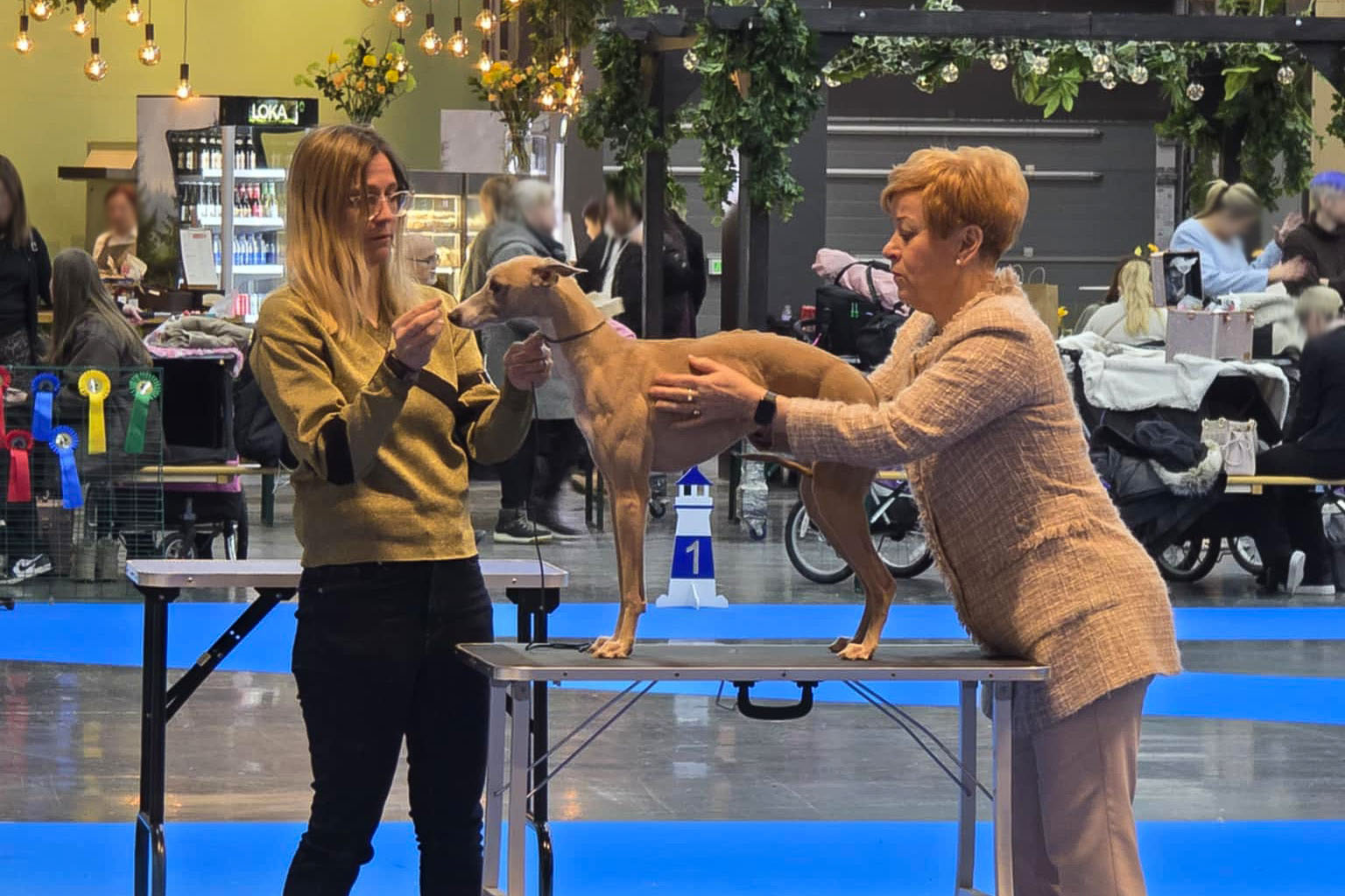 Polly, Good at My Dog International Dog Show 2026