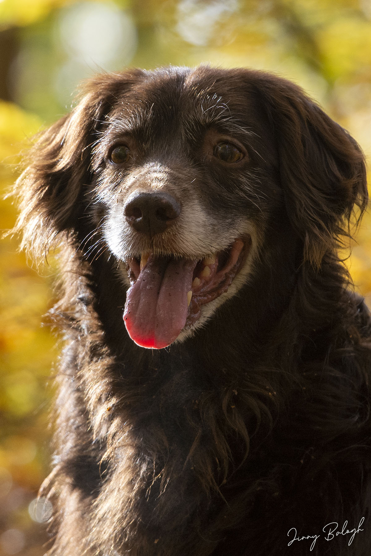 Tobias, 11 years Tobias, 11 years