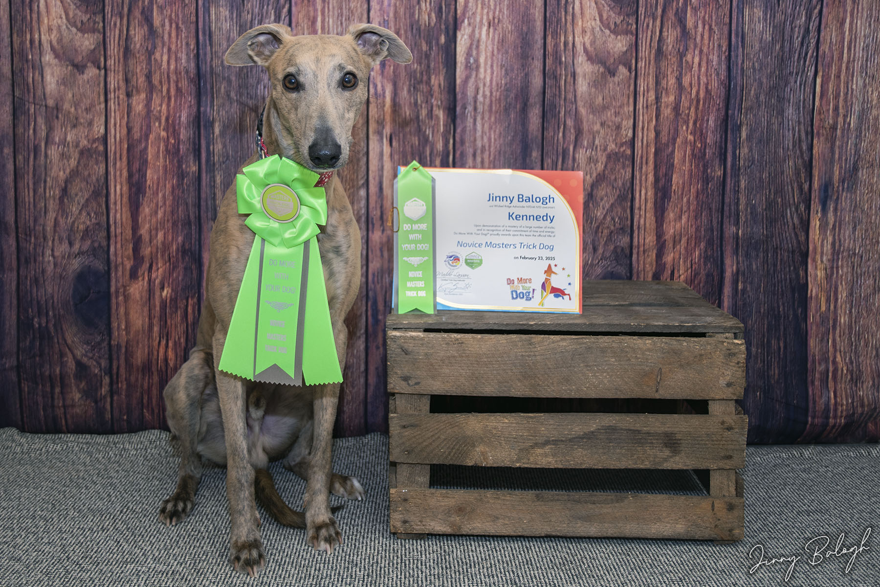 Kennedy, NTD-M (February 2025)