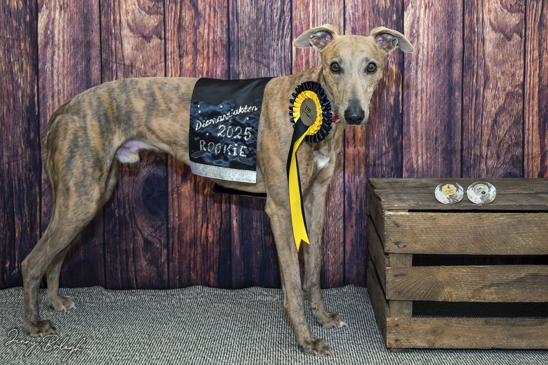 Kennedy, winner of Diamantjakten 2025 (rookie)