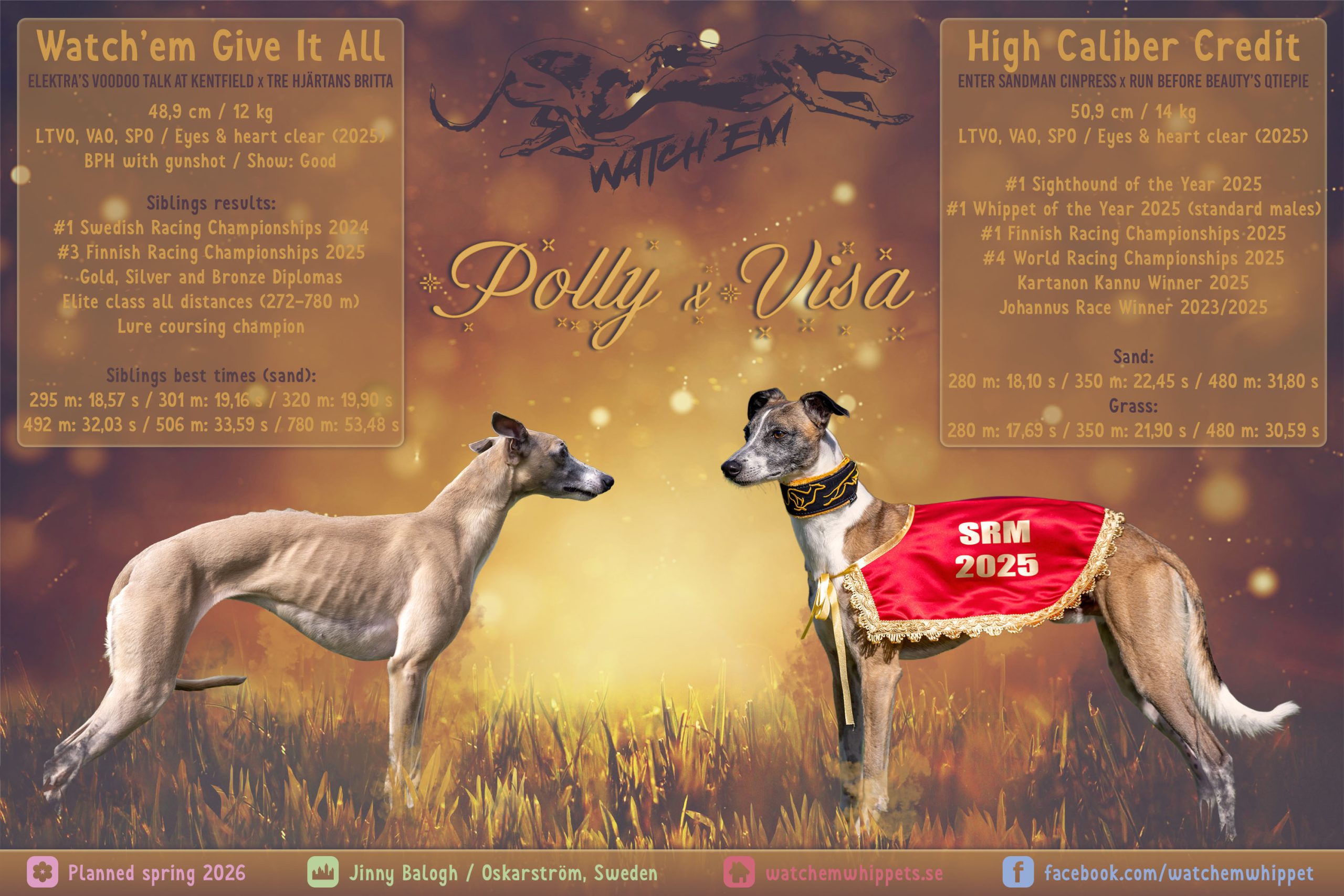 Visa x Polly, litter ad